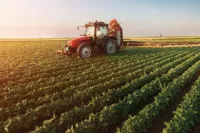 Agriculture